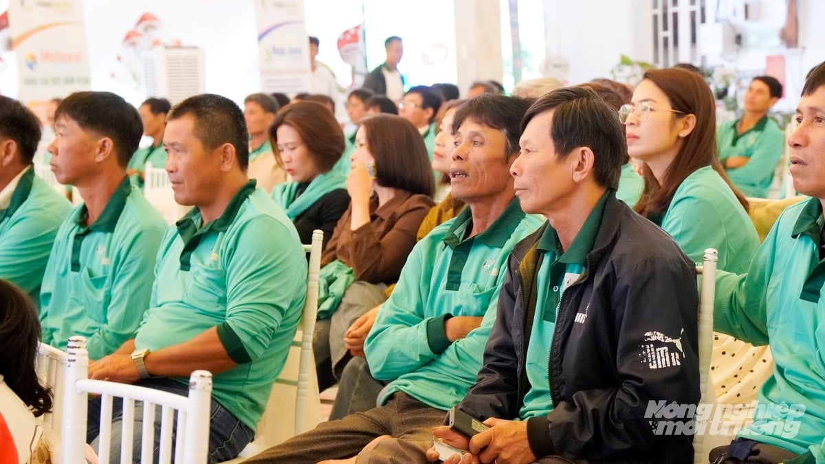 Nông dân Lâm Đồng chăm chú theo dõi phần trình bày về các chế phẩm sinh học mới. Ảnh: Gia Phú. Nông dân Lâm Đồng chăm chú theo dõi phần trình bày về các chế phẩm sinh học mới. Ảnh: Gia Phú.