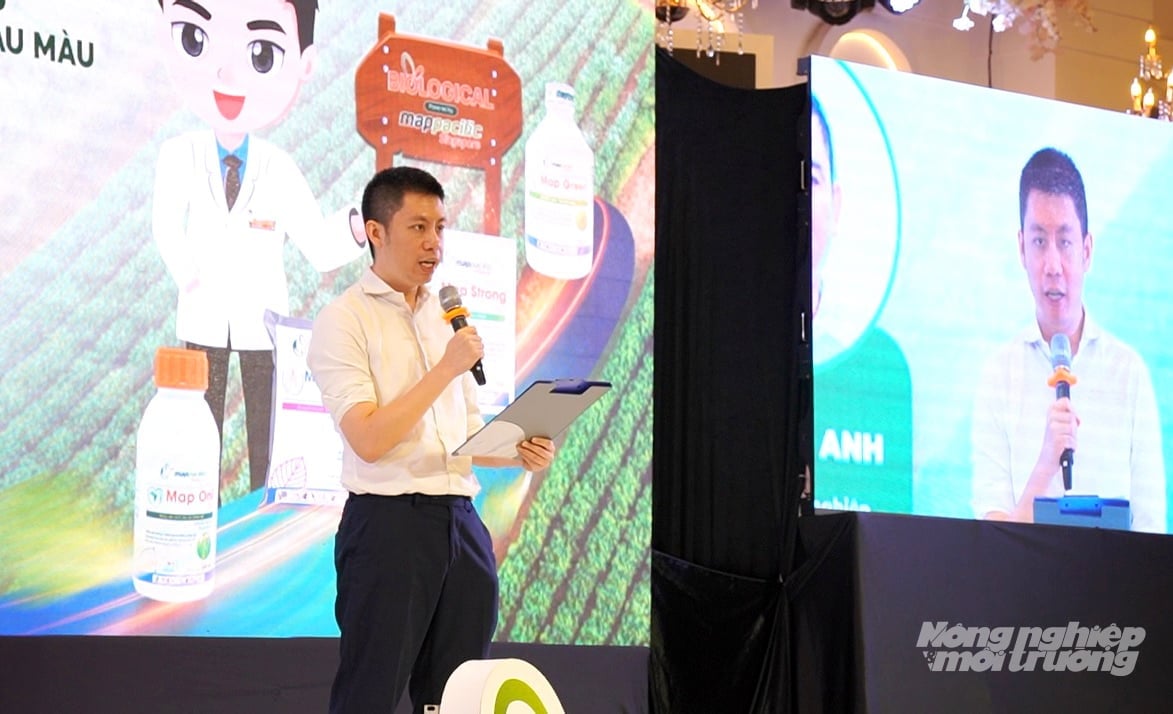 Chuyên gia Map Pacific Singapore phân tích tác hại bệnh vi khuẩn trên cây rau màu. Ảnh: Gia Phú. Chuyên gia Map Pacific Singapore phân tích tác hại bệnh vi khuẩn trên cây rau màu. Ảnh: Gia Phú.