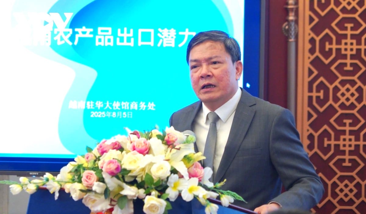 ban-giai-phap-thuc-day-xuat-khau-nong-lam-thuy-san-nam-2025-095644_583