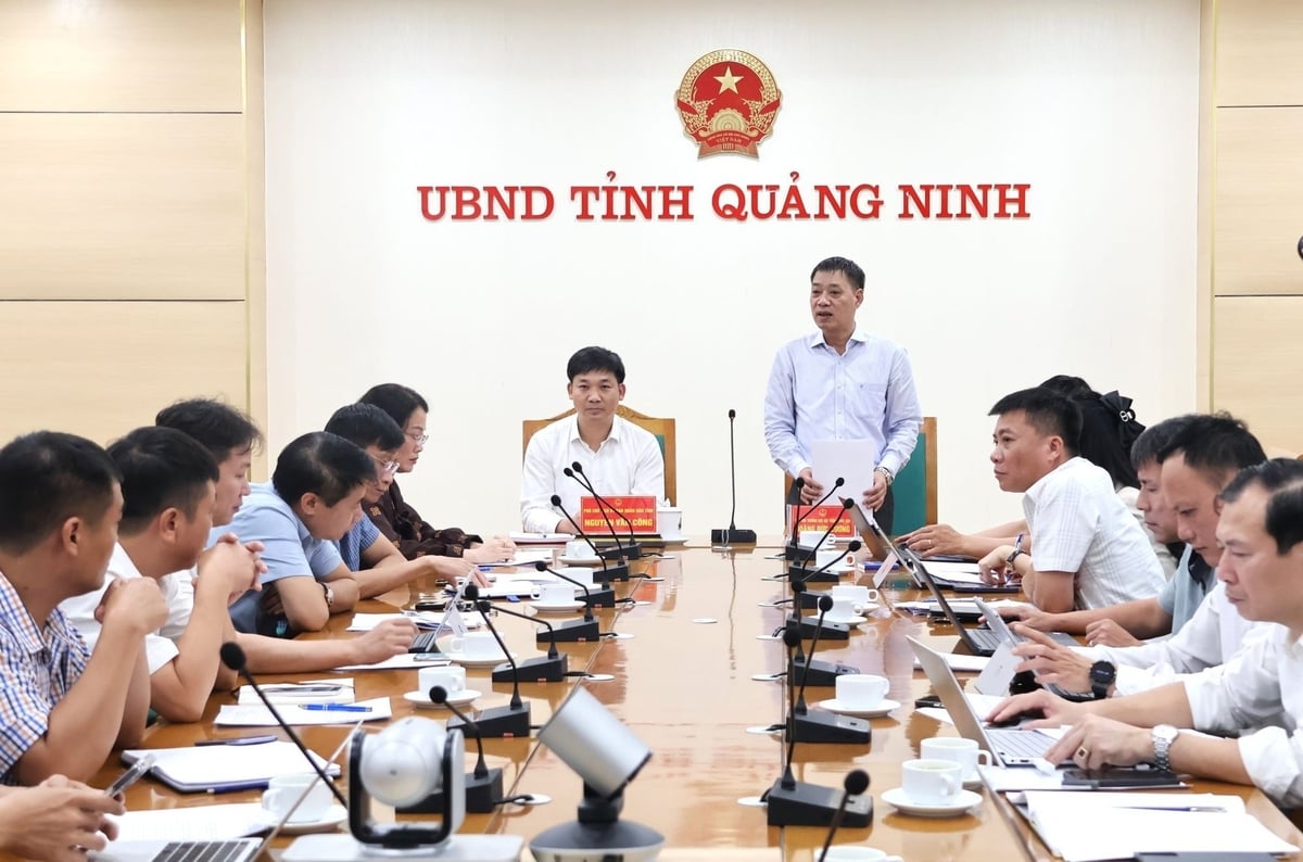 Phó Cục trưởng Cục Khí tượng Thủy văn Hoàng Đức Cường đề xuất các giải pháp dự báo, cảnh báo cho tỉnh Quảng Ninh. Ảnh: Trung Nguyên. Phó Cục trưởng Cục Khí tượng Thủy văn Hoàng Đức Cường đề xuất các giải pháp dự báo, cảnh báo cho tỉnh Quảng Ninh. Ảnh: Trung Nguyên.