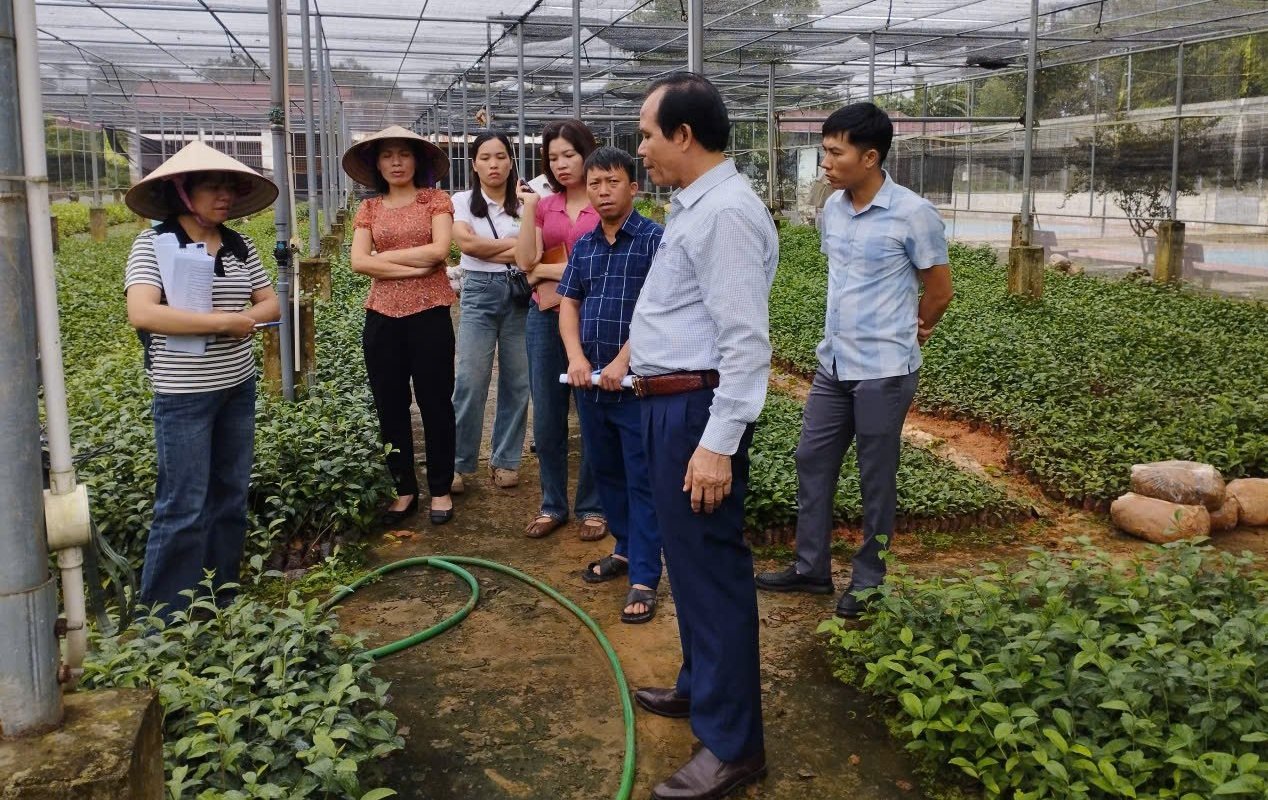 Đây là khoá tập huấn đầu tiên về kiểm định lô giống cây trồng lâu năm tại các tỉnh phía Bắc sau khi ban hành Luật Trồng trọt năm 2018. Ảnh: Quý Tường. Đây là khoá tập huấn đầu tiên về kiểm định lô giống cây trồng lâu năm tại các tỉnh phía Bắc sau khi ban hành Luật Trồng trọt năm 2018. Ảnh: Quý Tường.