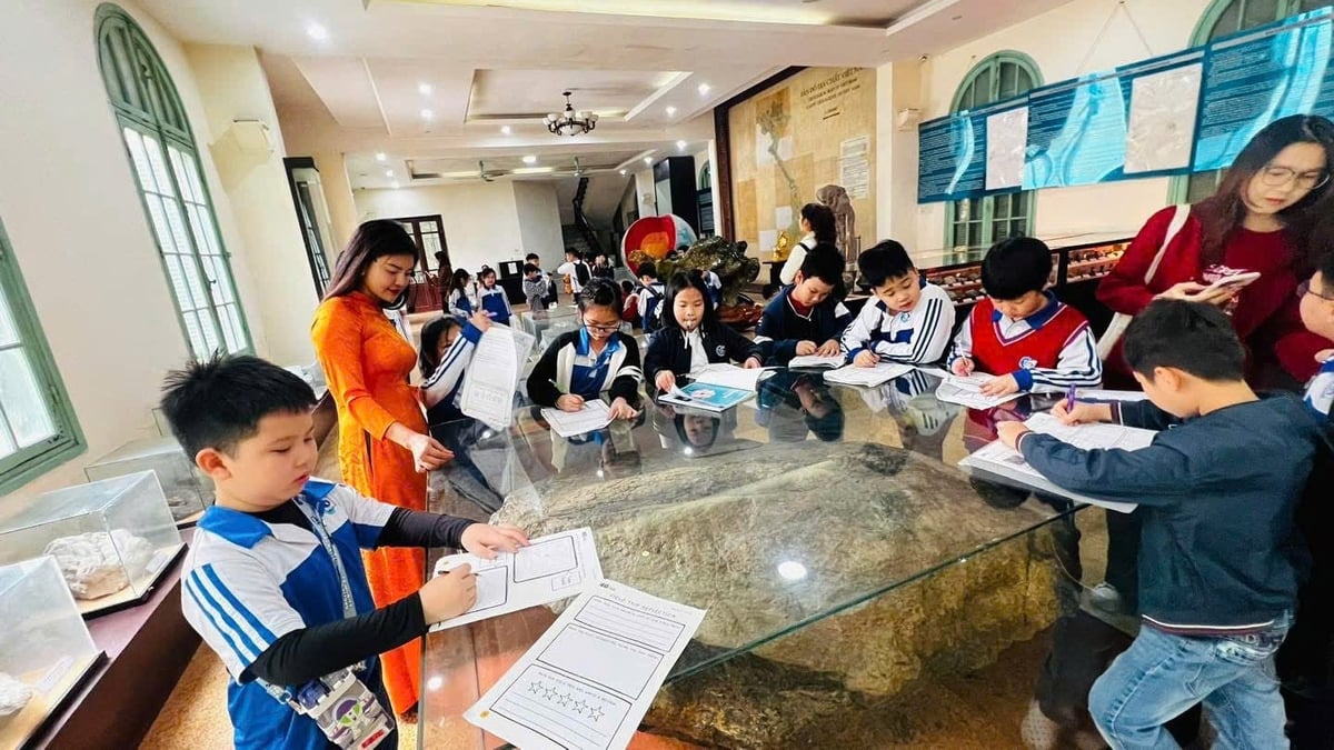 Chỉ trong 6 tháng đầu năm 2025, Bảo tàng Địa chất Hà Nội đã tiếp đón 3.160 lượt khách tham quan, trong đó có 26 đoàn học sinh, sinh viên và mầm non. Ảnh: Mai Anh. Chỉ trong 6 tháng đầu năm 2025, Bảo tàng Địa chất Hà Nội đã tiếp đón 3.160 lượt khách tham quan, trong đó có 26 đoàn học sinh, sinh viên và mầm non. Ảnh: Mai Anh.