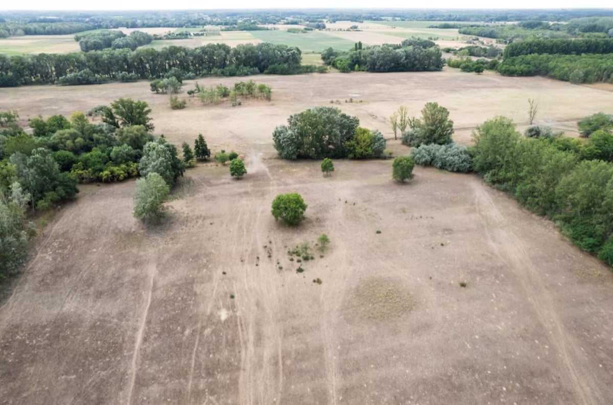 Hình ảnh chụp từ máy bay không người lái cho thấy vùng đất khô cằn gần Jaszszentlaszlo, Hungary. Ảnh: Marton Monus.