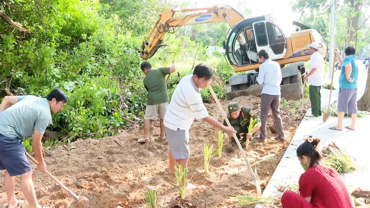 Hiện, có khoảng 19 vườn thuốc Nam được phủ xanh tại các điểm rác tự phát, trả lại sự trong lành cho 'thiên đường' du lịch Côn Đảo. Ảnh: UBND đặc khu Côn Đảo.