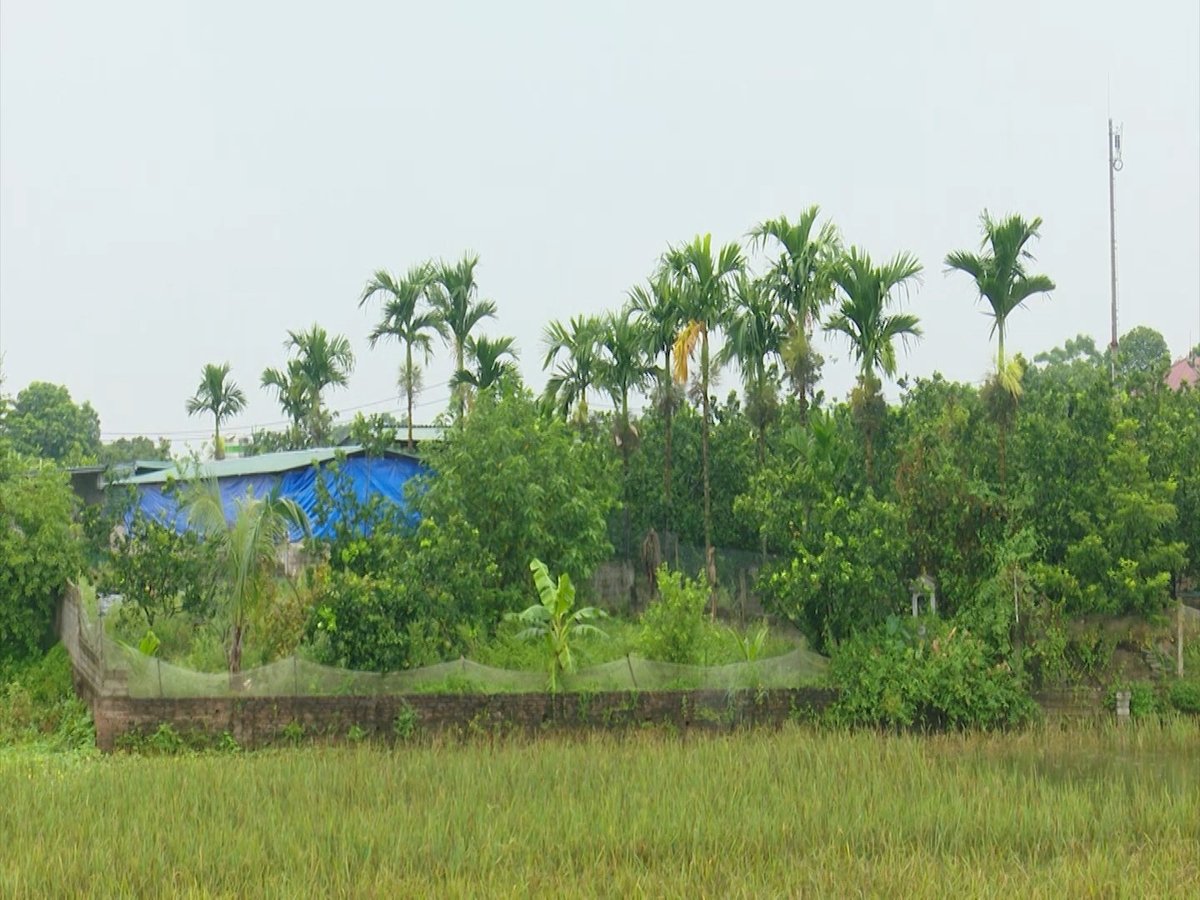 Việc chuyển đổi mục đích đất nông nghiệp của người dân đang gặp khó vì tiền sử dụng đất cao. Ảnh: Thùy Linh.