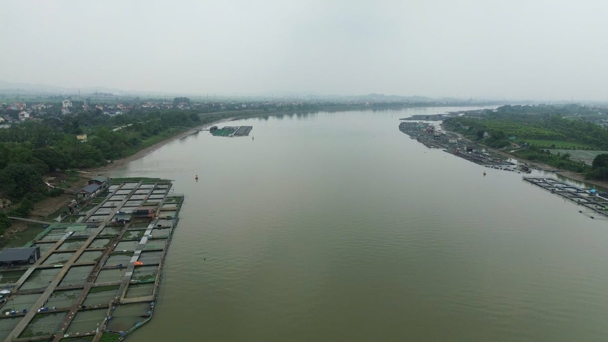 Có hàng nghìn ô lồng nuôi trồng thủy sản trên sông Kinh Thầy, đoạn chảy qua khu vực xã Hợp Tiến. Ảnh: Đinh Mười.