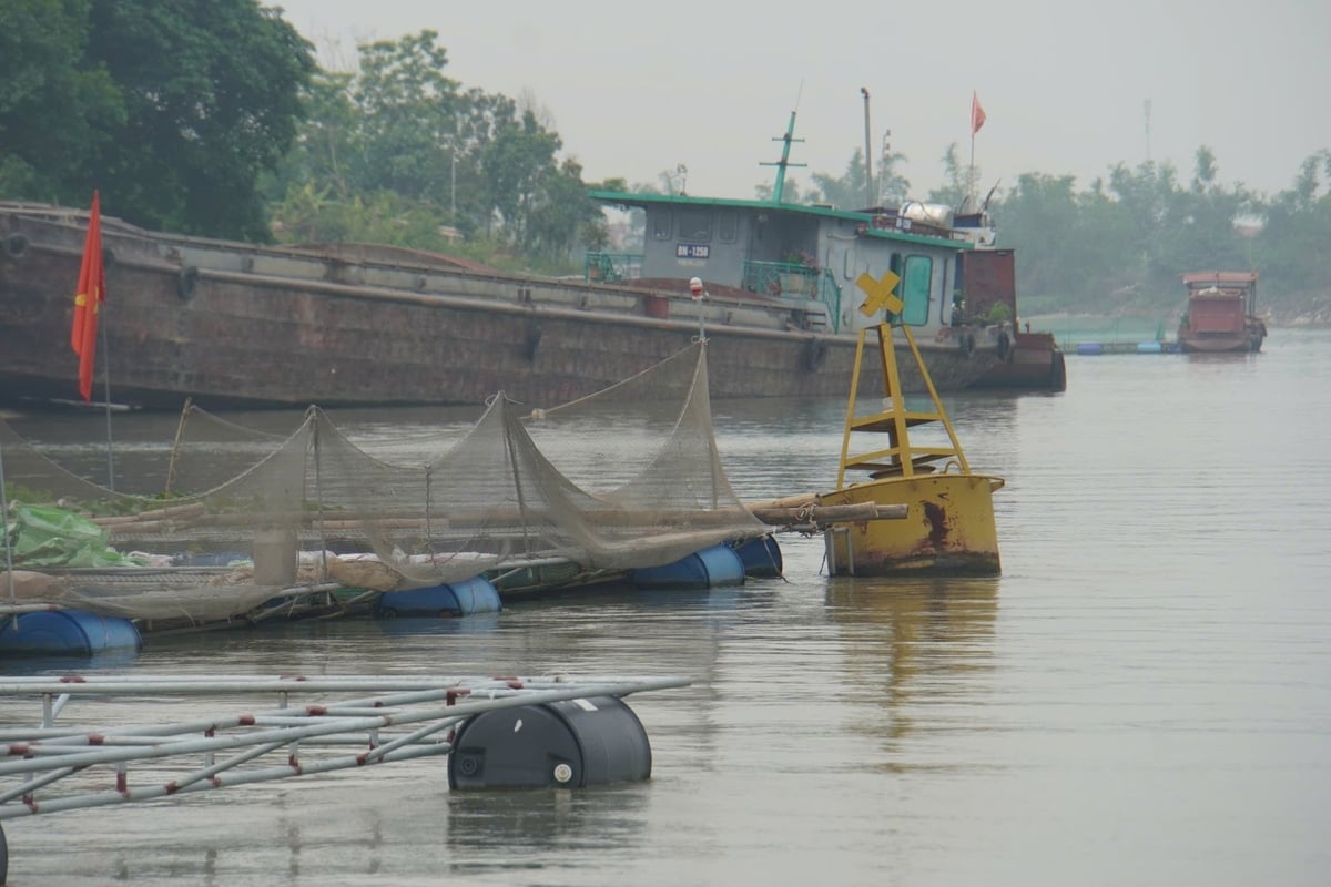 Đây là đoạn sông thường xuyên có nhiều tàu thuyền qua lại. Ảnh: Đinh Mười.