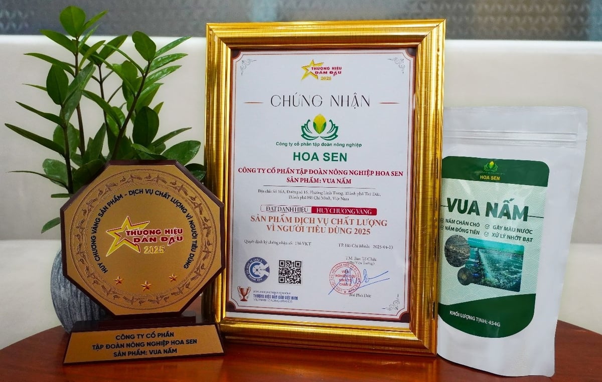 Vua Nấm là vi sinh số 1 trên thị trường xử lý nấm đồng tiền, cải thiện môi trường ao nuôi.