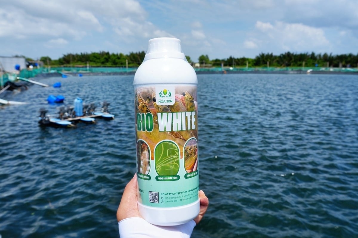 Bio White là sự kết hợp giữa vi sinh và protein, đặc trị các bệnh đường ruột ở tôm cực mạnh, cực nhanh.