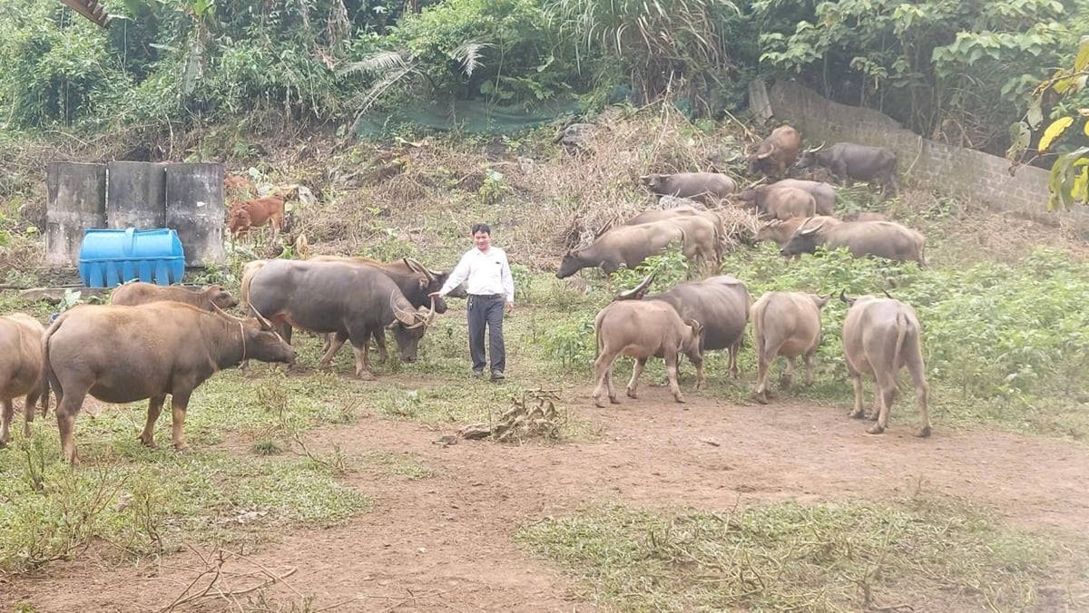 Những mô hình kinh tế phát huy lợi thế vùng miền là động lực để thoát nghèo, vươn lên làm giàu trên chính mảnh đất của người dân vùng cao. Ảnh: Đình Tiệp. Những mô hình kinh tế phát huy lợi thế vùng miền là động lực để thoát nghèo, vươn lên làm giàu trên chính mảnh đất của người dân vùng cao. Ảnh: Đình Tiệp.