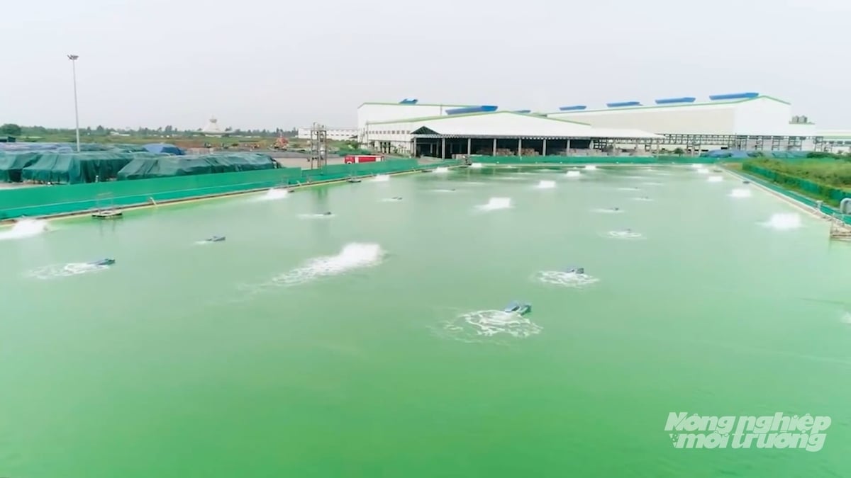 6 tháng đầu năm, Cần Thơ xử lý 98,42% chất thải nguy hại, mở rộng cấp nước sạch, nâng cao giám sát môi trường Ảnh: Văn Vũ. 