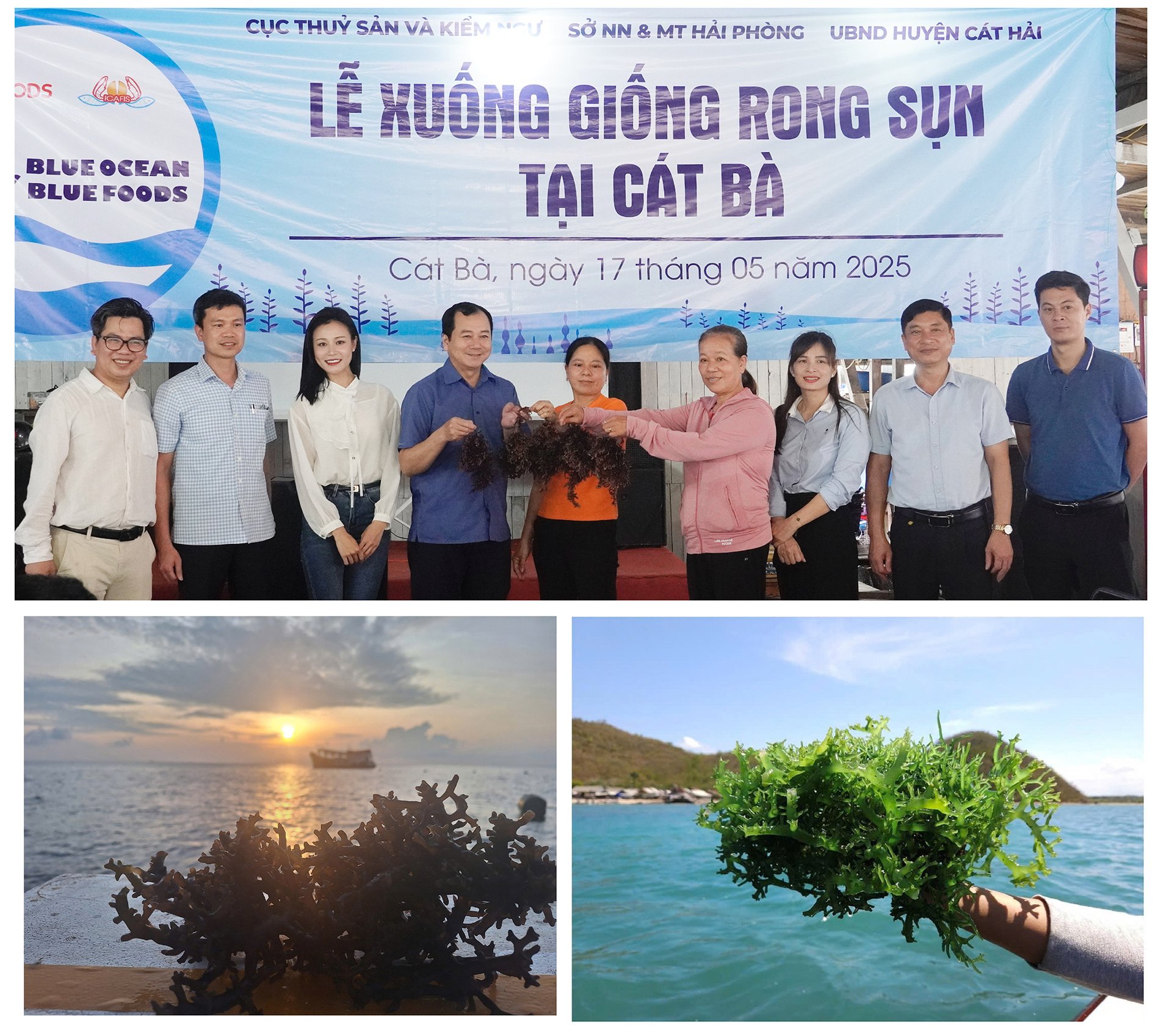 trong-rong-cau-ca-hai-tien-du-lich-132257_298