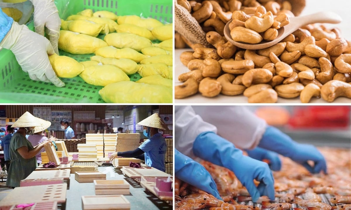 Cơ hội đang rộng mở cho nông lâm thủy sản Việt Nam ở nhiều thị trường. Ảnh: NN-MT.