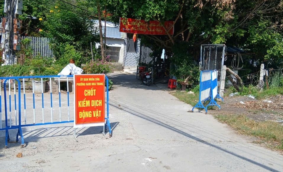 Phường Nam Nha Trang lập chốt kiểm dịch động vật khi xuất hiện dịch tả lợn Châu Phi. Ảnh: Kim Sơ. Phường Nam Nha Trang lập chốt kiểm dịch động vật khi xuất hiện dịch tả lợn Châu Phi. Ảnh: Kim Sơ.
