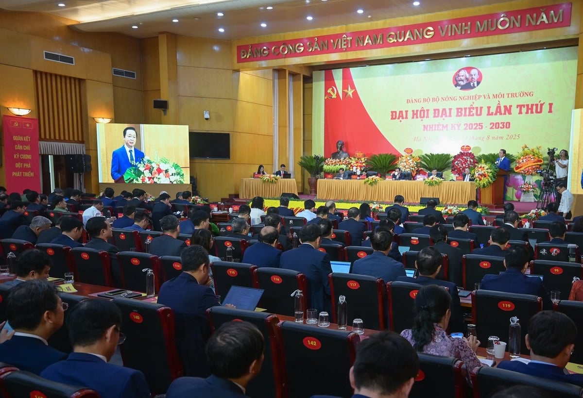 Lĩnh vực nông nghiệp, sự tăng trưởng đã chuyển từ vai trò 'trụ đỡ' sang đóng góp quan trọng cho nền kinh tế. Mục tiêu kim ngạch xuất khẩu nông, lâm, thủy sản đạt gần 70 tỷ USD vào cuối năm 2025 là một con số đầy tham vọng và ý nghĩa. Ảnh: Tùng Đinh. Lĩnh vực nông nghiệp, sự tăng trưởng đã chuyển từ vai trò 'trụ đỡ' sang đóng góp quan trọng cho nền kinh tế. Mục tiêu kim ngạch xuất khẩu nông, lâm, thủy sản đạt gần 70 tỷ USD vào cuối năm 2025 là một con số đầy tham vọng và ý nghĩa. Ảnh: Tùng Đinh.