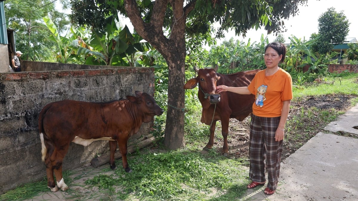 Gia đình chị Trần Thị Loan cũng đã thoát nghèo từ nguồn vón vay ưu đãi. Ảnh: Thanh Tâm.