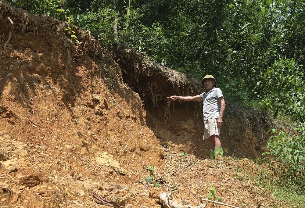 Ông Trương Văn Trị, xã Kim Tân, tỉnh Thanh Hóa lo lắng về nguy cơ sạt lở đất đồi phía sau nhà. Ảnh: Thu Thủy.