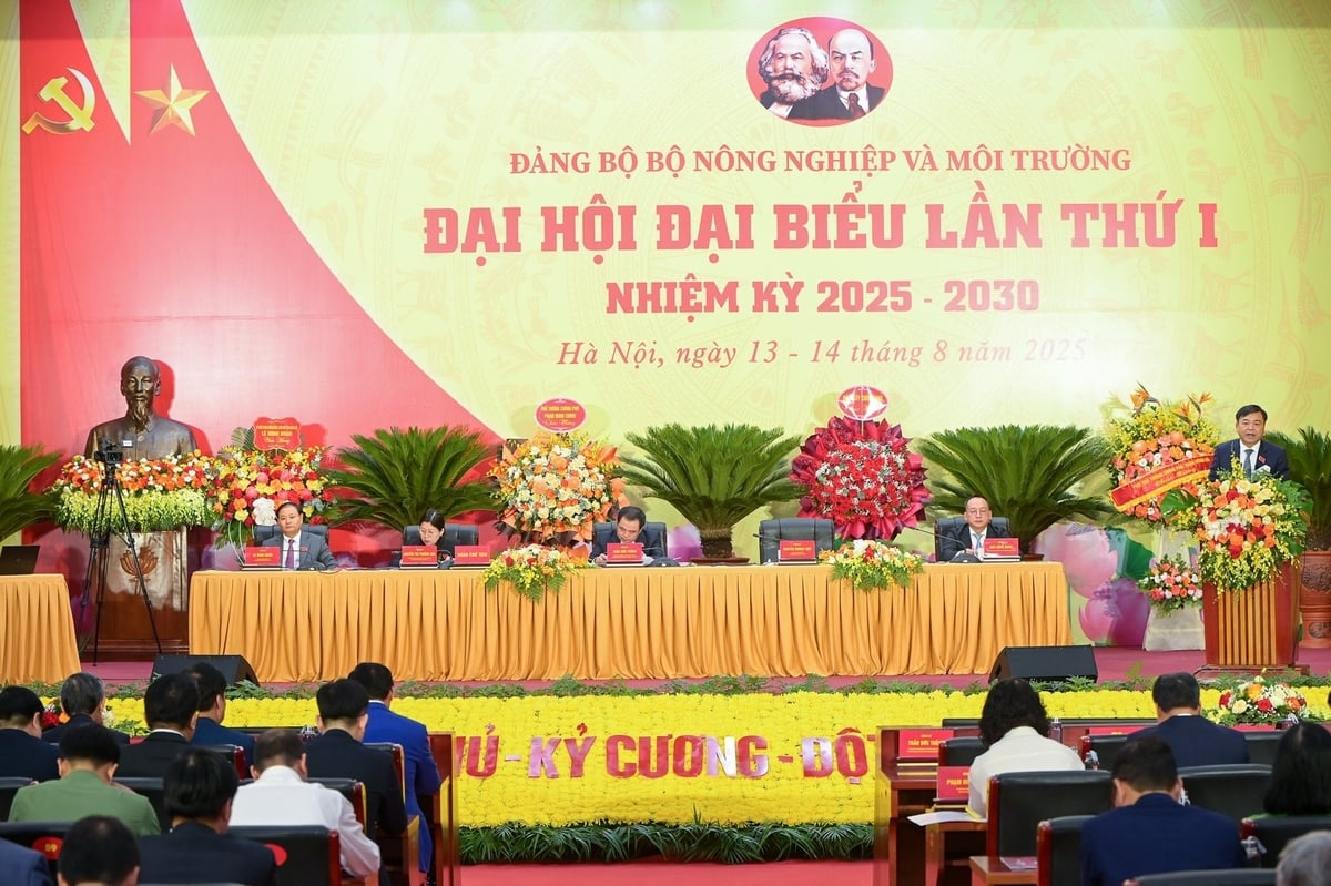 Toàn cảnh Đại hội Đảng bộ Bộ Nông nghiệp và Môi trường diễn ra sáng 14/8. Ảnh: Tùng Đinh.