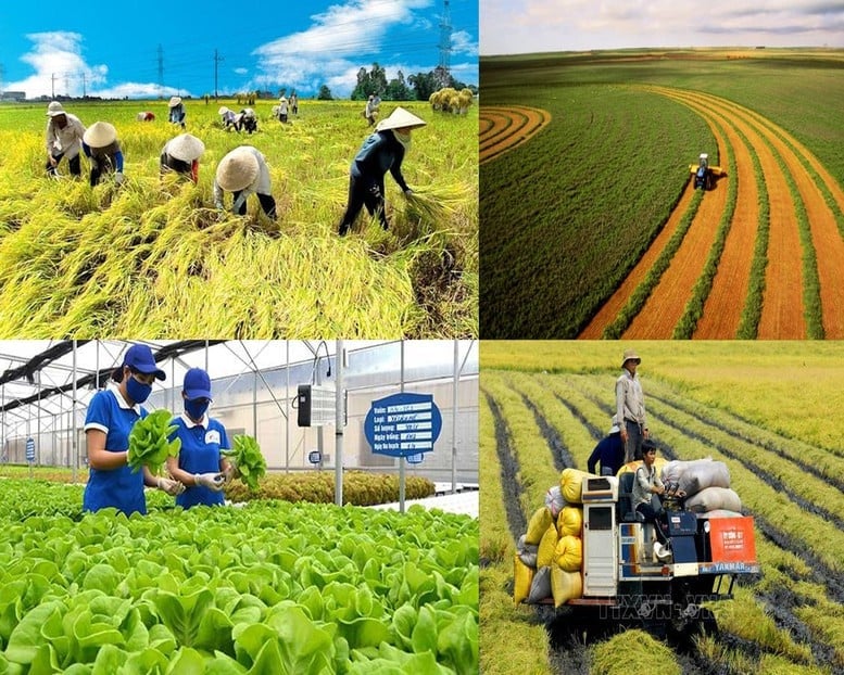 Thúc đẩy các mô hình sản xuất nông nghiệp xanh, thông minh. 