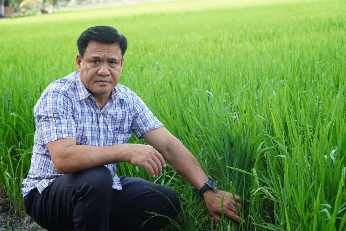 Ông Nguyễn Cao Khải, Giám đốc HTX Tiến Thuận (xã Vĩnh Thạnh, TP. Cần Thơ). Ông Nguyễn Cao Khải, Giám đốc HTX Tiến Thuận (xã Vĩnh Thạnh, TP. Cần Thơ).