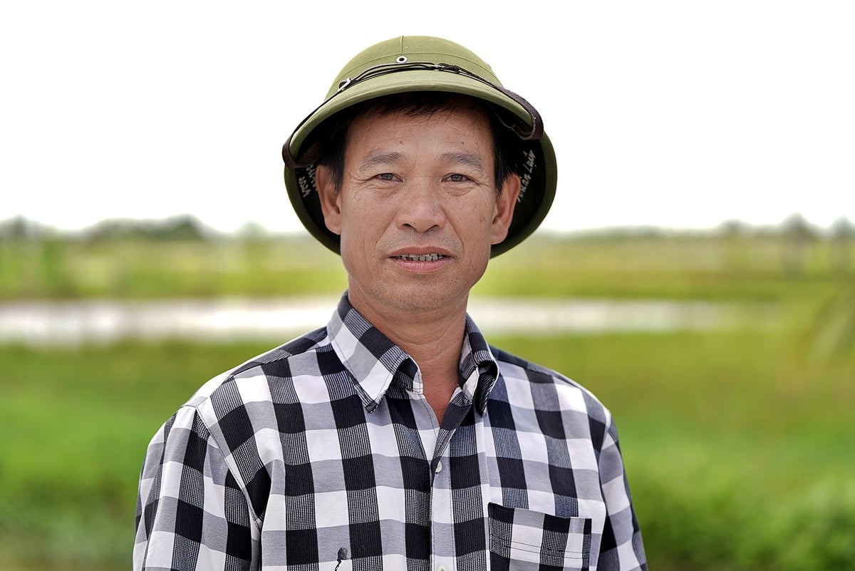 Ông Phạm Xuân Luận, Giám đốc HTX Dịch vụ Nông nghiệp An Thanh, xã Chí Minh, TP Hải Phòng. Ảnh: Bảo Thắng. Ông Phạm Xuân Luận, Giám đốc HTX Dịch vụ Nông nghiệp An Thanh, xã Chí Minh, TP Hải Phòng. Ảnh: Bảo Thắng.