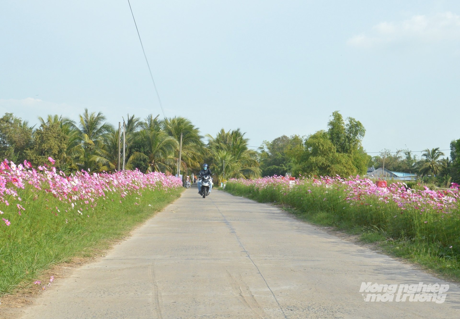 Thời gian qua, các xã nông thôn mới trên địa bàn tỉnh An Giang đã có sự bứt tốc mạnh mẽ trong đầu tư phát triển hạ tầng, thúc đẩy phát triển sản xuất, làm thay đổi rõ nét diện mạo nông thôn và nâng cao đời sống người dân. Ảnh: Trung Chánh.