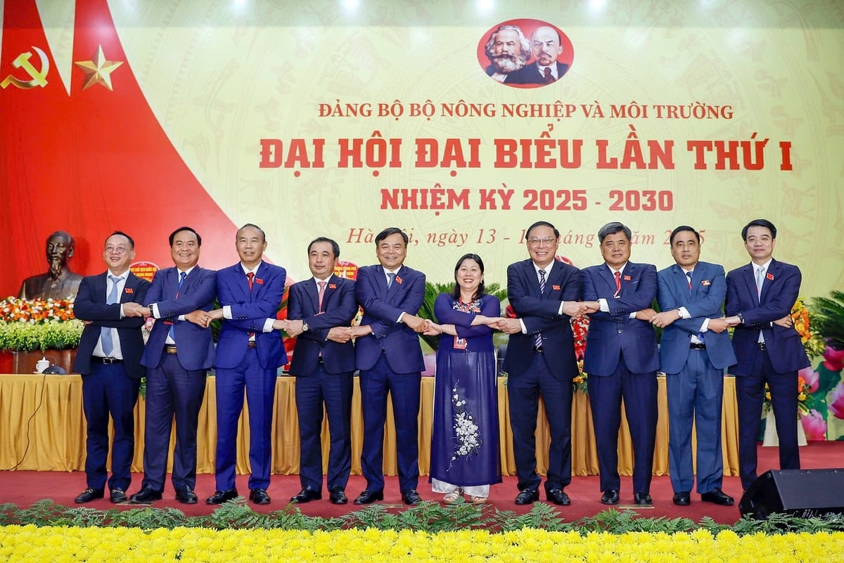 Đại hội Đảng bộ Bộ Nông nghiệp và Môi trường lần thứ I là mốc son khởi đầu cho hành trình mới - hành trình đoàn kết, sáng tạo, đột phá, đưa ngành phát triển mạnh mẽ, bền vững, đóng góp xứng đáng vào sự nghiệp xây dựng và bảo vệ Tổ quốc. Ảnh: Khương Trung. Đại hội Đảng bộ Bộ Nông nghiệp và Môi trường lần thứ I là mốc son khởi đầu cho hành trình mới - hành trình đoàn kết, sáng tạo, đột phá, đưa ngành phát triển mạnh mẽ, bền vững, đóng góp xứng đáng vào sự nghiệp xây dựng và bảo vệ Tổ quốc. Ảnh: Khương Trung.