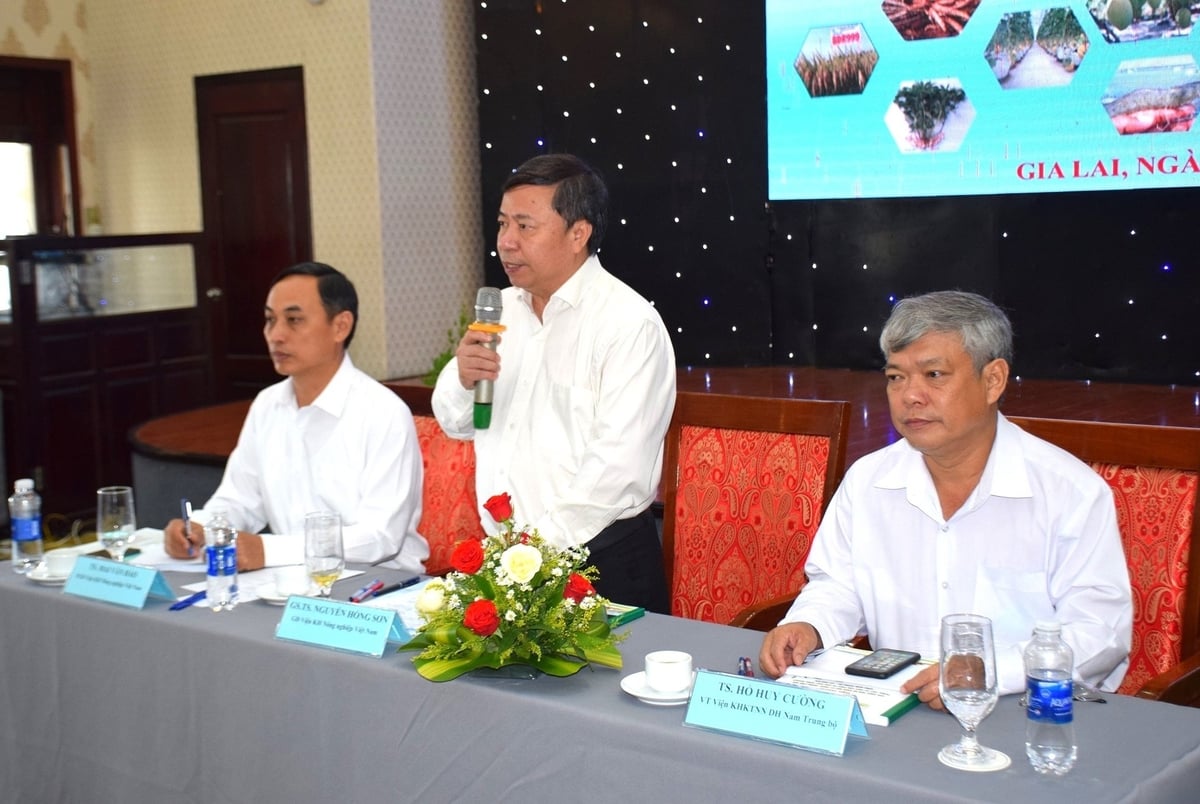 GS.TS Nguyễn Hồng Sơn, Giám đốc Viện Khoa học Nông nghiệp Việt Nam (đứng) chủ trì hội nghị. Ảnh: V.Đ.T.