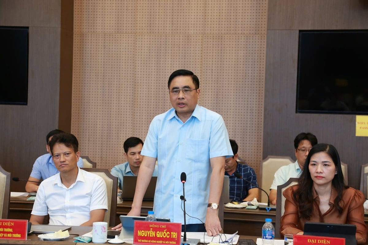 Thứ trưởng Bộ NN-MT Nguyễn Quốc Trị phát biểu tại buổi làm việc và cam kết Bộ sẽ đồng hành với địa phương trong việc giải quyết các vướng mắc trong lĩnh vực ngành. Ảnh: Thanh Ngà.