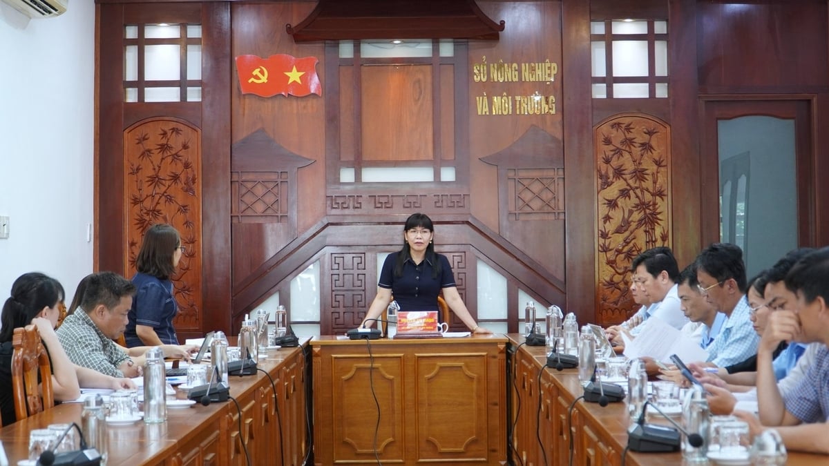 Bà Nguyễn Thị Giang, Phó Giám đốc Sở Nông nghiệp và Môi trường TP. Cần Thơ cùng các sở ngành chia sẻ nhu cầu xây dựng NFCS. Ảnh: Kim Anh.