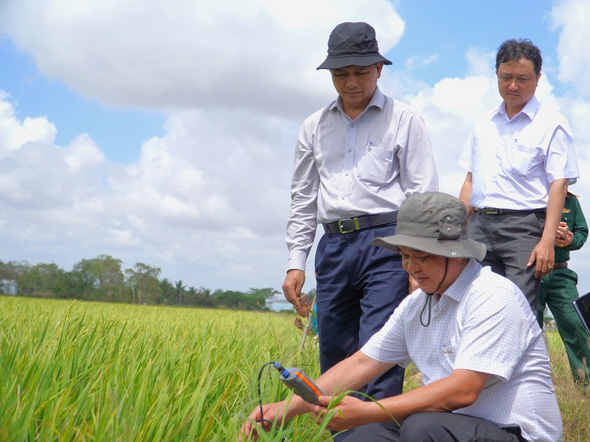 Lãnh đạo TP. Cần Thơ trong chuyến khảo sát thực tế tình hình sản xuất nông nghiệp trước tác động của hạn mặn. Ảnh: Kim Anh.