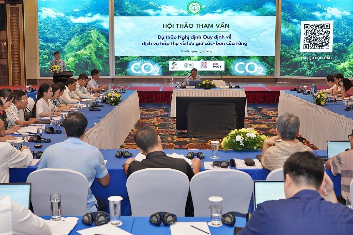 Hàng trăm đại biểu tham dự trực tiếp và trực tuyến tại các điểm cầu. Ảnh: Bảo Thắng.