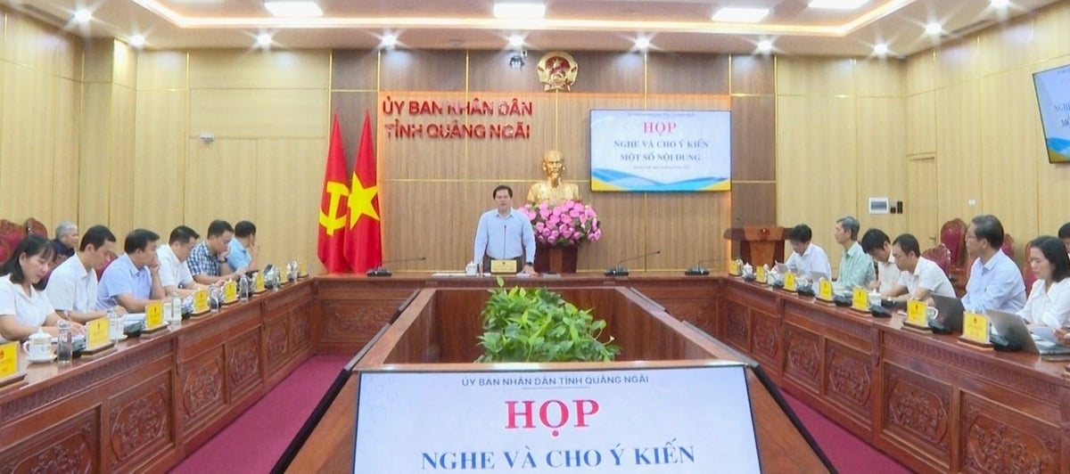 Phó Chủ tịch UBND tỉnh Trần Phước Hiền yêu cầu các sở, ngành xử lý kịp thời vướng mắc phát sinh khi thực hiện mô hình chính quyền địa phương 2 cấp, trong đó có lĩnh vực đất đai. Ảnh: Võ Hà.