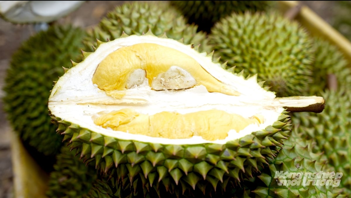 Trung Quốc là thị trường số 1 nhập khẩu rau quả của Việt Nam. Ảnh: Nguyễn Thủy.