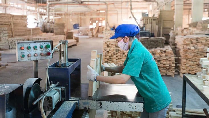 Sản xuất tại Nhà máy Chế biến gỗ của Công ty cổ phần Việt Trung Quảng Bình. Ảnh: V.T. Sản xuất tại Nhà máy Chế biến gỗ của Công ty cổ phần Việt Trung Quảng Bình. Ảnh: V.T.