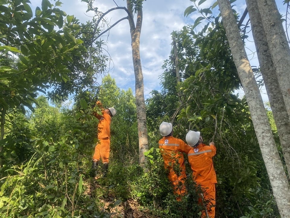 Công nhân quản lý vận hành đường dây chặt tỉa cây để đảm bảo hành lang an toàn lưới điện tại Thái Nguyên. Ảnh: EVNNPC.