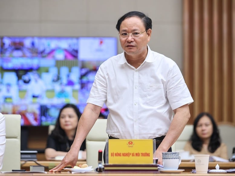 Thứ trưởng Bộ Nông nghiệp và Môi trường Lê Minh Ngân cho biết, trong quá trình xây dựng và hoàn thiện Luật Đất đai 2024, Bộ Nông nghiệp và Môi trường đã cụ thể hóa chủ trương, chính sách rất nhân văn của Đảng và Nhà nước về phát triển nhà ở xã hội. Ảnh: VGP/Nhật Bắc.