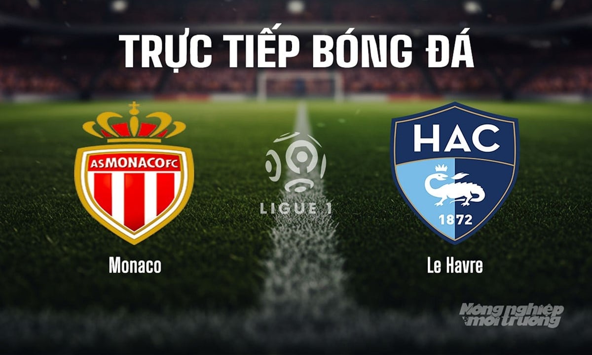 Trực tiếp bóng đá Ligue 1 (VĐQG Pháp) 2025/26 giữa Monaco vs Le Havre ngày 17/8/2025