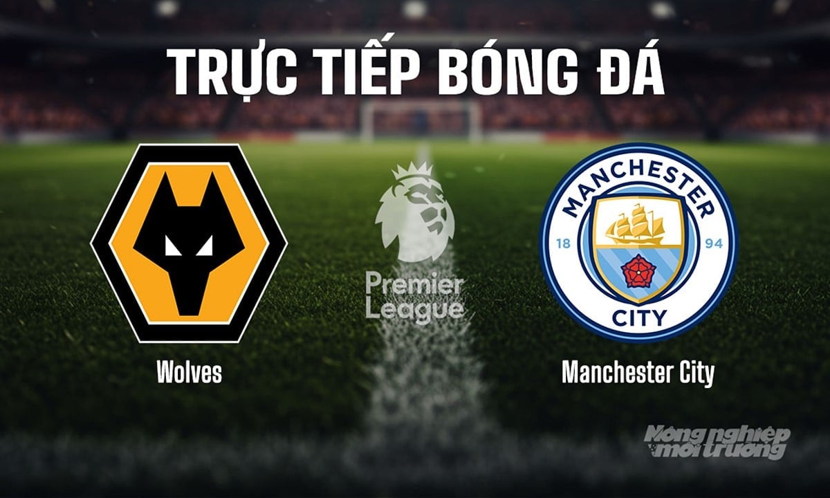 Trực tiếp bóng đá Ngoại hạng Anh giữa Wolves vs Man City hôm nay 16/8/2025