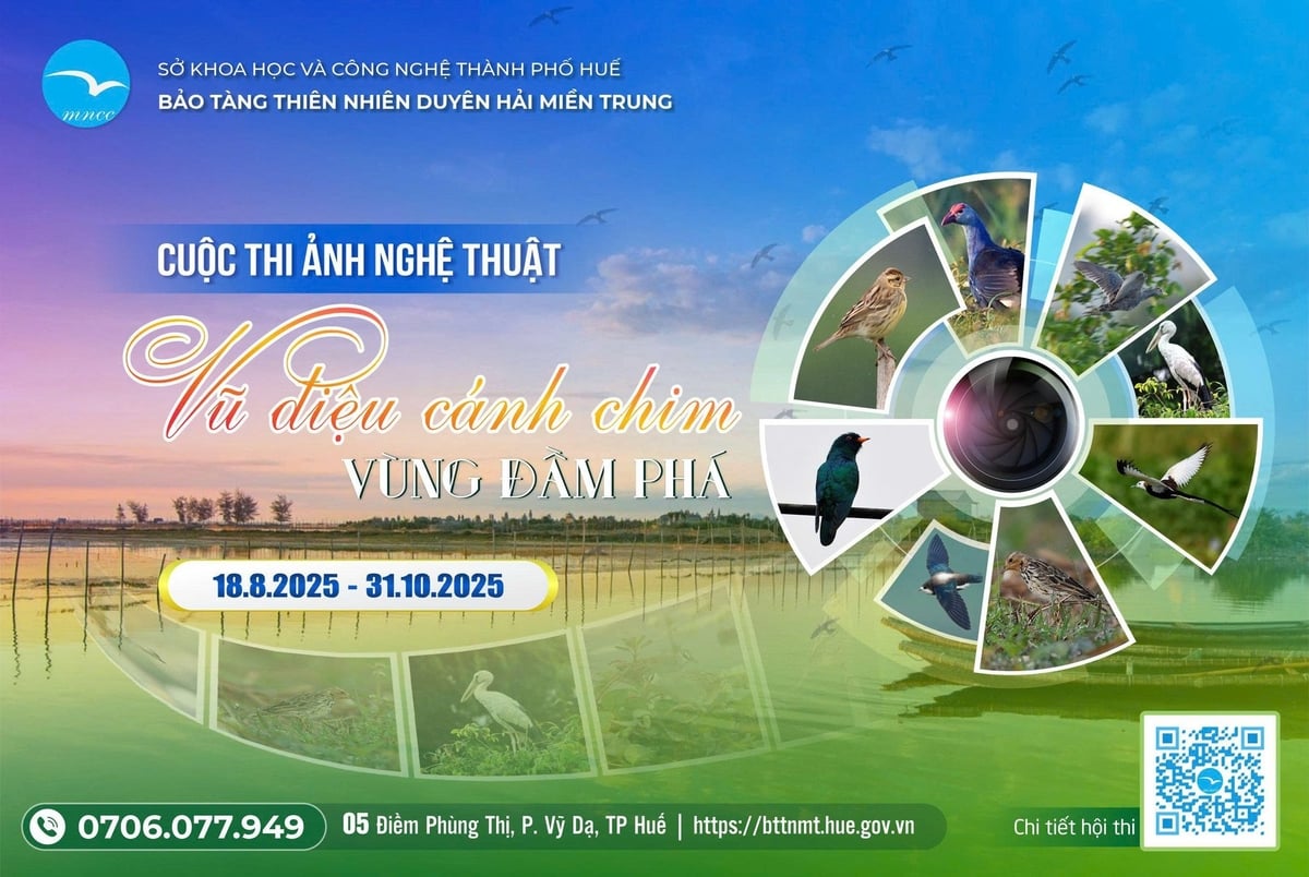 Cuộc thi nhằm nâng cao nhận thức cộng đồng về bảo tồn đa dạng sinh học, đặc biệt là các loài chim hoang dã tại vùng đầm phá ven biển miền Trung. Ảnh: BTC.