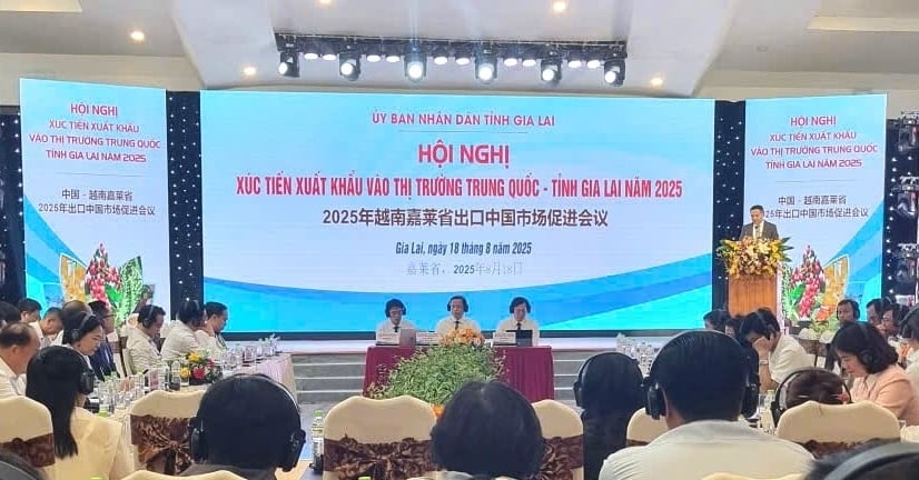 Hội nghị xúc tiến xuất khẩu vào thị trường Trung Quốc – tỉnh Gia Lai 2025. Ảnh: Tuấn Anh.