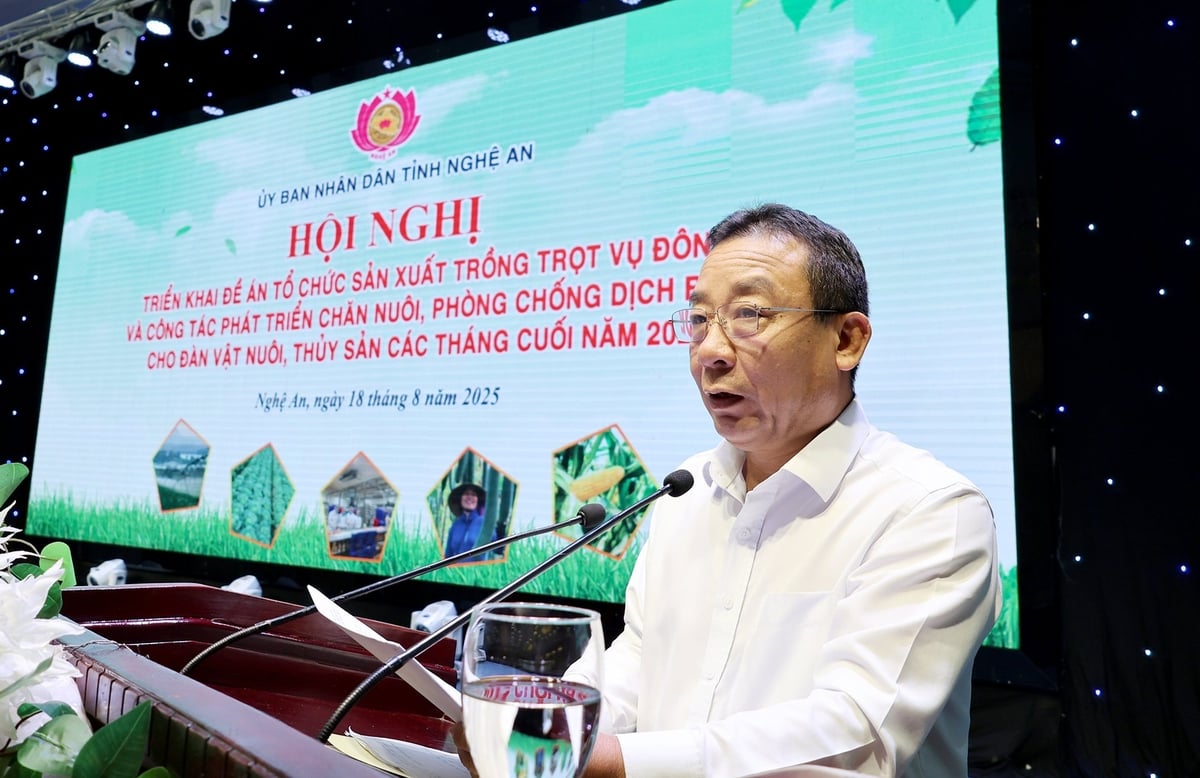 Ông Nguyễn Văn Đệ, Phó Chủ tịch UBND tỉnh Nghệ An phát biểu kết luận hội nghị. Ảnh: Hữu Tình.