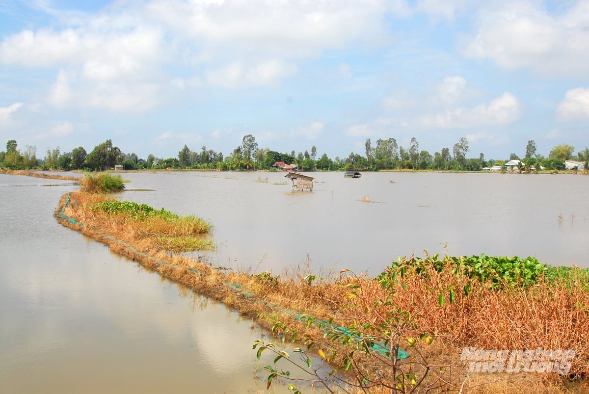 Hệ thống cống điều tiết nước tại đầu nguồn Đồng Tháp được mở để đón lũ vào đồng ruộng, đảm bảo an toàn sản xuất. Ảnh: Lê Hoàng Vũ. Hệ thống cống điều tiết nước tại đầu nguồn Đồng Tháp được mở để đón lũ vào đồng ruộng, đảm bảo an toàn sản xuất. Ảnh: Lê Hoàng Vũ.
