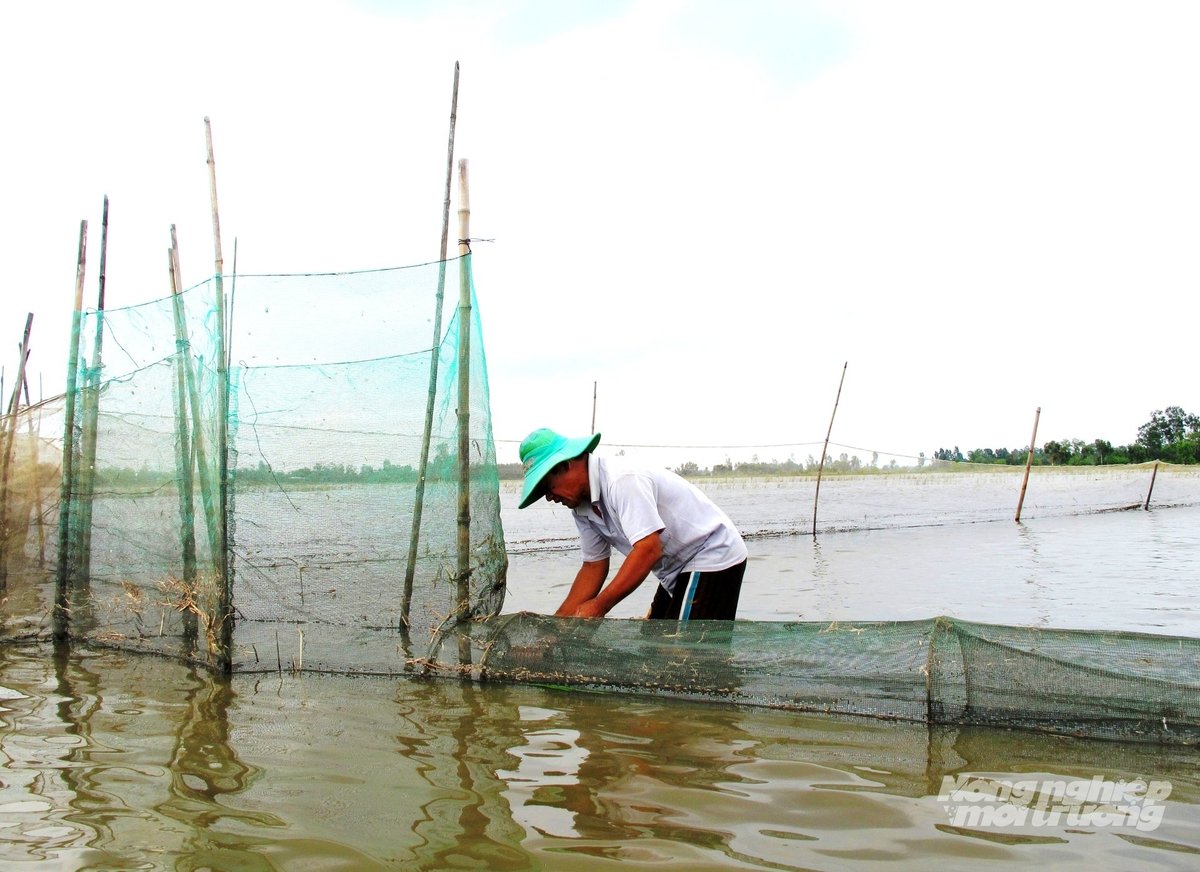 Năm 2025, Đồng Tháp mở hơn 107.000 ha đồng ruộng đón lũ. Ảnh: Lê Hoàng Vũ. Năm 2025, Đồng Tháp mở hơn 107.000 ha đồng ruộng đón lũ. Ảnh: Lê Hoàng Vũ.