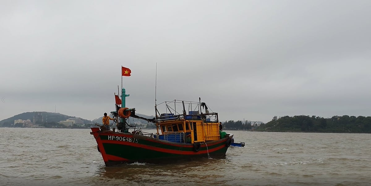 Tàu, thuyền đang hoạt động trên biển được yêu cầu về nơi tránh trú an toàn trước 16h ngày 18/8. Ảnh: Đinh Mười.