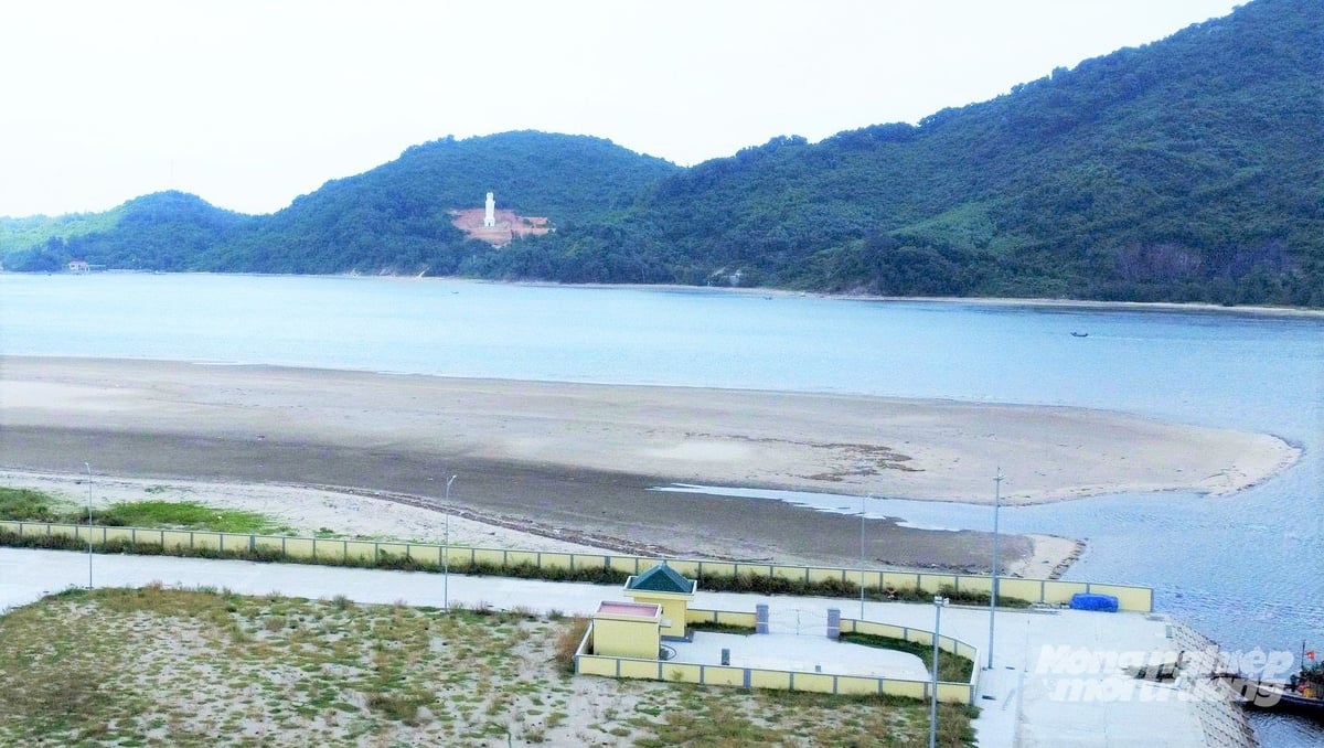 Luồng vào và vùng nước trước cảng đang bị bồi lắng nghiêm trọng. Ảnh: Thanh Nga. Luồng vào và vùng nước trước cảng đang bị bồi lắng nghiêm trọng. Ảnh: Thanh Nga.