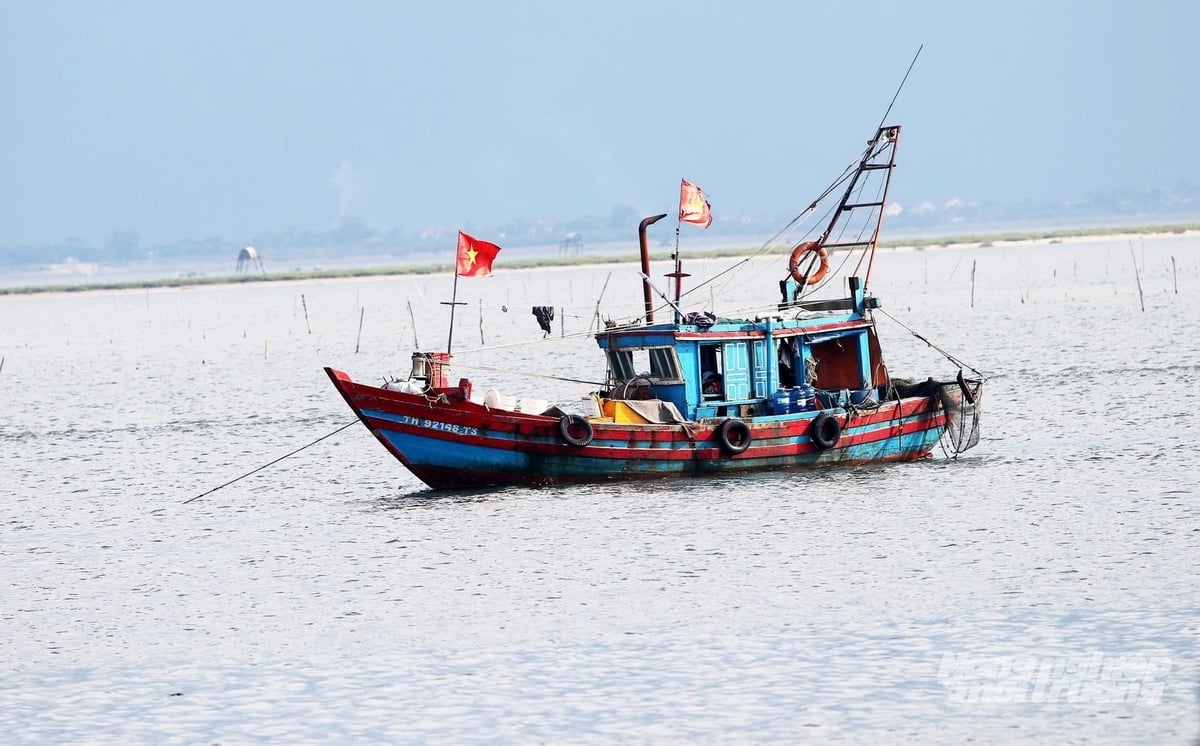 Bình quân mỗi tháng có khoảng 1.200 lượt tàu thuyền cập cảng Thạch Kim. Ảnh: Thanh Nga. Bình quân mỗi tháng có khoảng 1.200 lượt tàu thuyền cập cảng Thạch Kim. Ảnh: Thanh Nga.