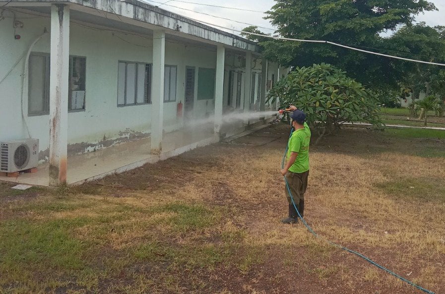 Các trang trại chăn nuôi tại TP.HCM đang tăng cường khử khuẩn, sát trùng khu vực chuồng trại và tuân thủ nghiêm các biện pháp an toàn sinh học. Ảnh: Lê Bình.