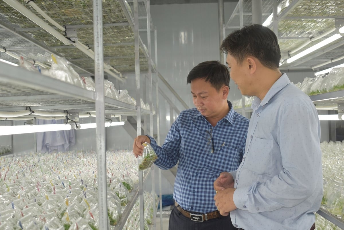 Phòng cấy phôi giống cây trồng của Hợp tác xã Nông nghiệp công nghệ cao Kim Phát (xã An Thạnh Thủy, tỉnh Đồng Tháp). Ảnh: Minh Đảm. Phòng cấy phôi giống cây trồng của Hợp tác xã Nông nghiệp công nghệ cao Kim Phát (xã An Thạnh Thủy, tỉnh Đồng Tháp). Ảnh: Minh Đảm.