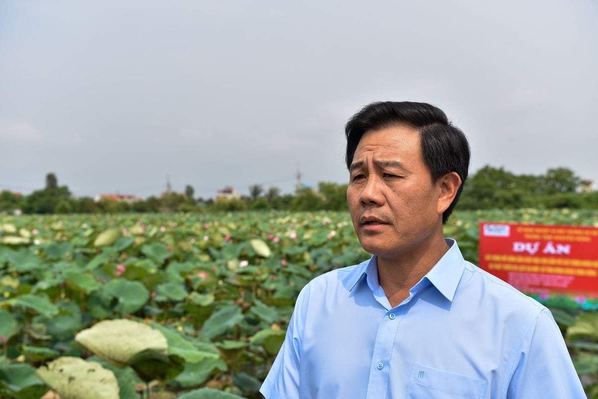 Ông Nguyễn Xuân Đại - Giám đốc Sở Nông nghiệp và Môi trường Hà Nội. Ảnh: Đinh Thanh Huyền.